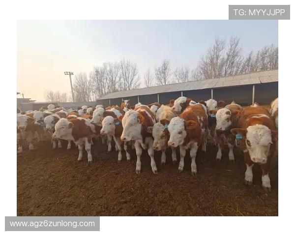 畅游尊龙凯时平台入口，享受高额奖金和丰厚福利