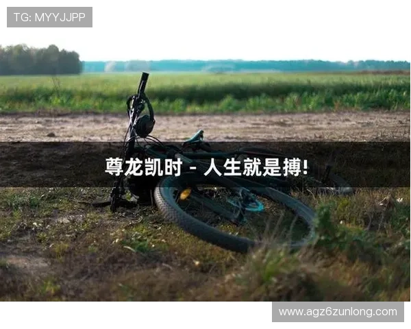 尊龙凯时共赢共欢乐：创新奖励机制激励玩家积极参与共同创造欢乐游戏环境