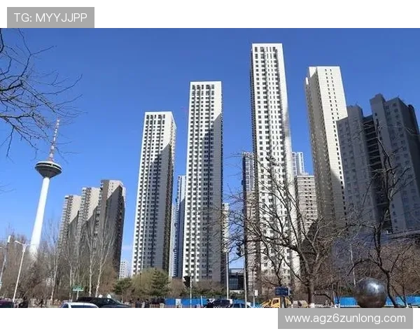 尊龙时凯官方网站入口网页版安全登录流程与账号保护措施